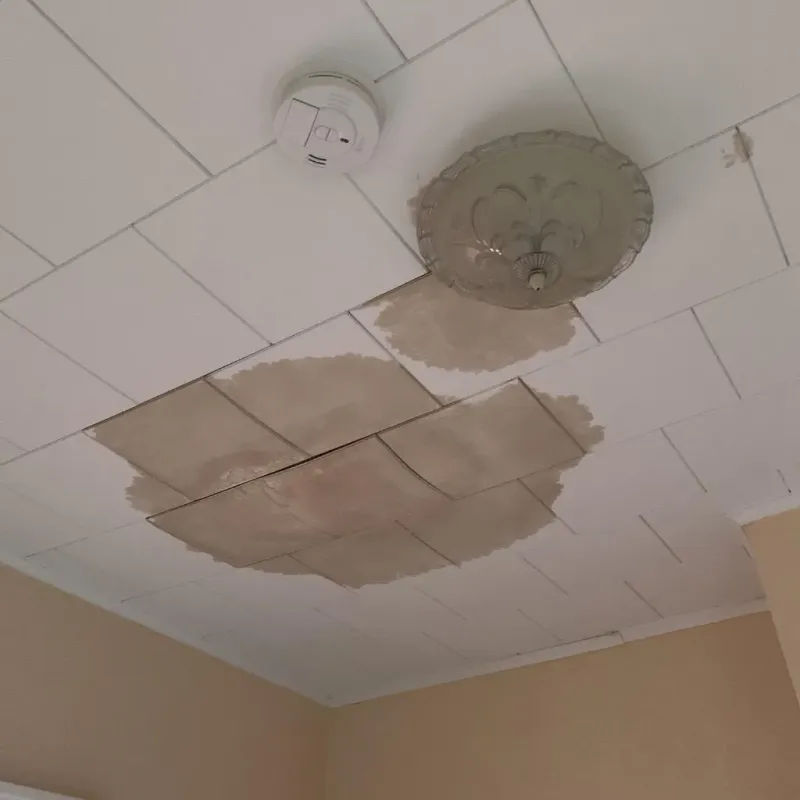 Ceiling Water Damage Repair in West Sand Lake, NY