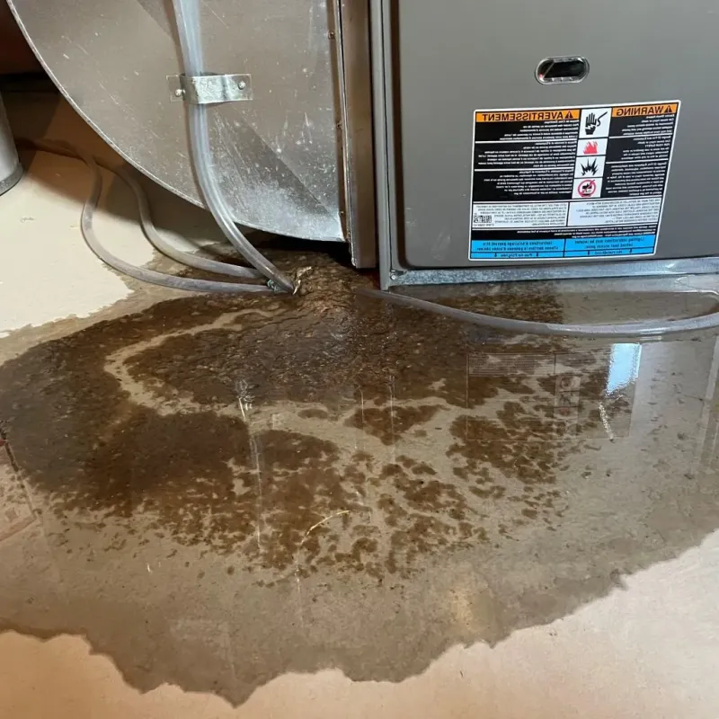 Pipe Burst and Leak Restoration in West Sand Lake, NY